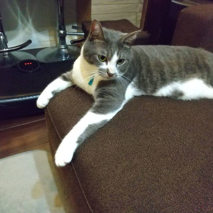 A7093b16 754f 4652 9c1f 63e8f666c718 1633780285397