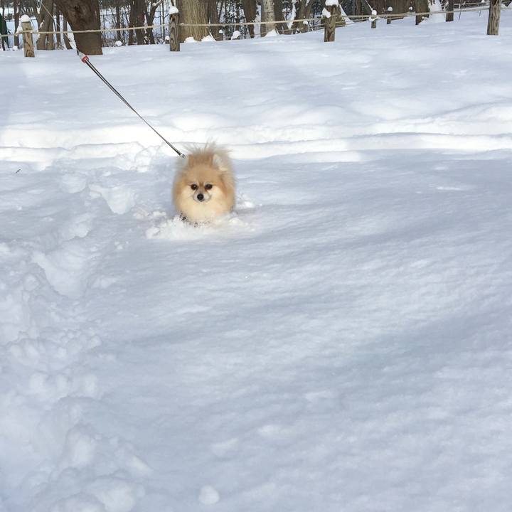 A70946bc 0685 4edf 8711 eff4445f1b24 1597275191269