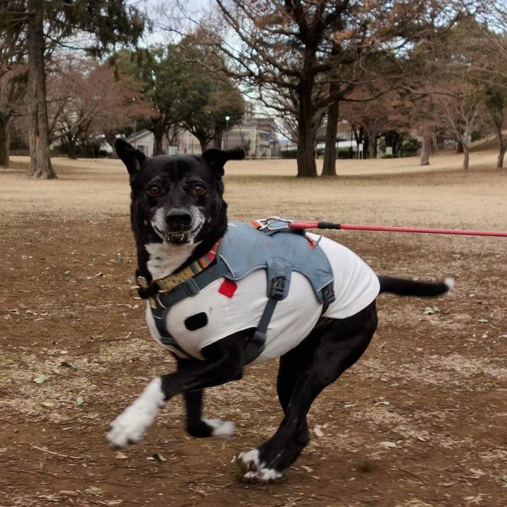 A7095938 8099 4a06 82e8 17d4ed2c849e 1739665922227