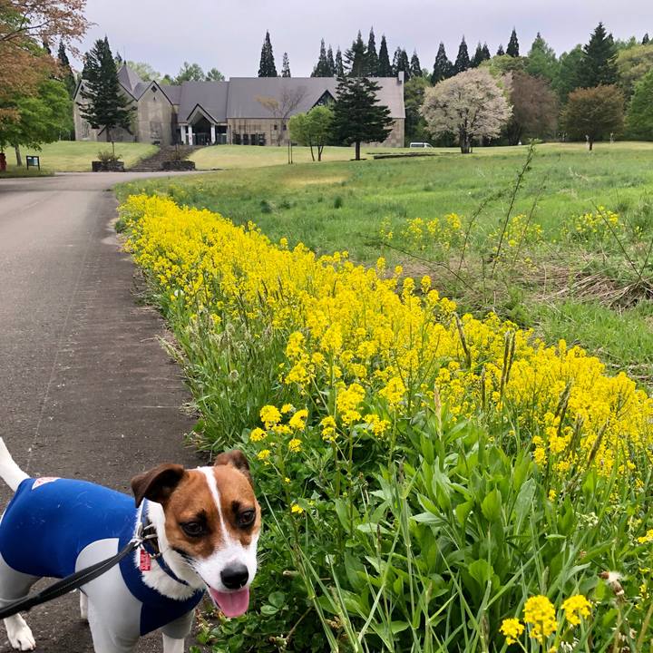 A7096347 69f3 4968 a08d 4eb6ef84d539 1589514646380