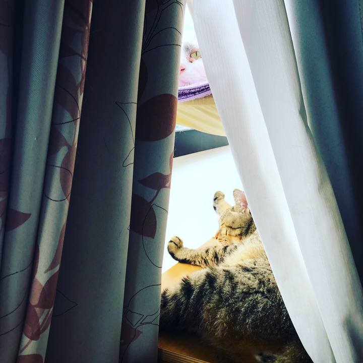 A7096db7 9220 403e aebc b47daee84e5c 1568865689760