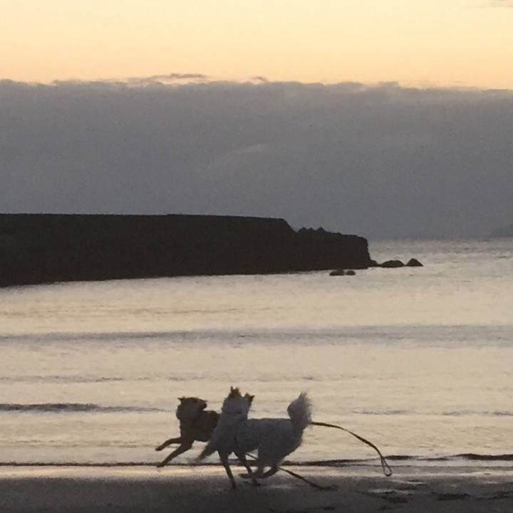 A7097f96 75e1 42ef 95c8 4ccd3f2a1126 1511873593313