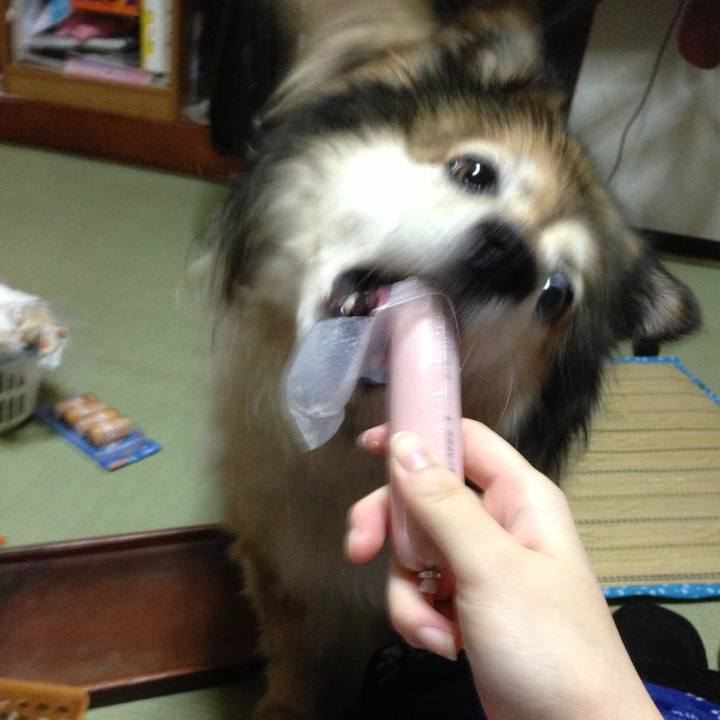 A709a929 fb2b 4c43 be38 b9f2198f61d2 1614516170598