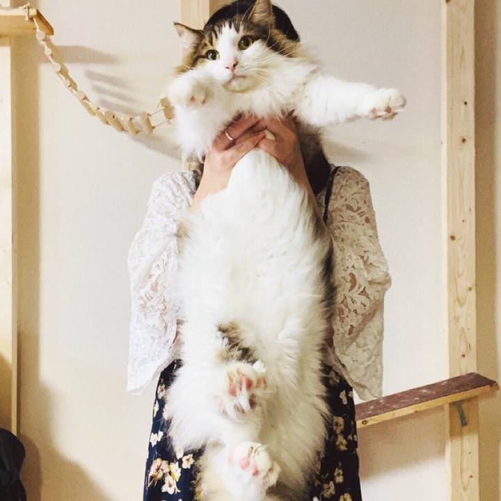 A709c649 5cbc 42bd 9cd0 5159d6d1c451 1595569666328