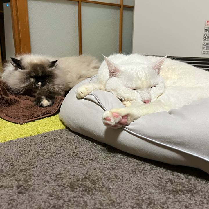 A709cf7e 699e 43a9 8f5c f5e1a0e6f488 1703924097854