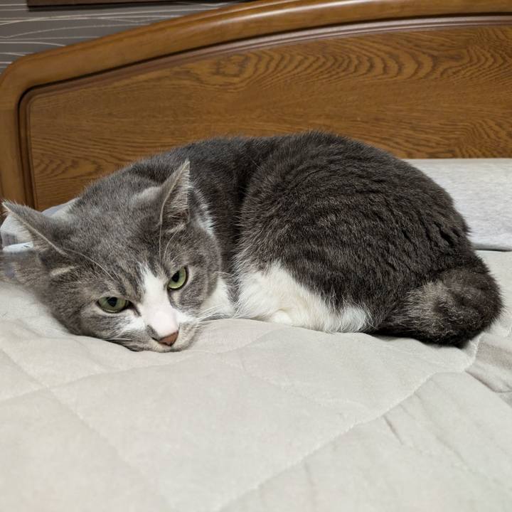 A709dc91 31f4 41c5 ba58 1136ce59d0ad 1727177943154