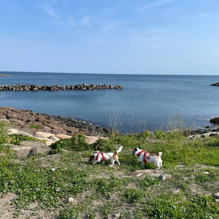 A709df61 d26f 474c b218 cd3030f1ea22 1654129923637