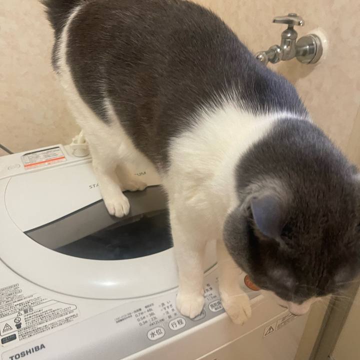 A709e67d 4dcc 494c 9cec 7a2bdfcfb4f5 1714261526406