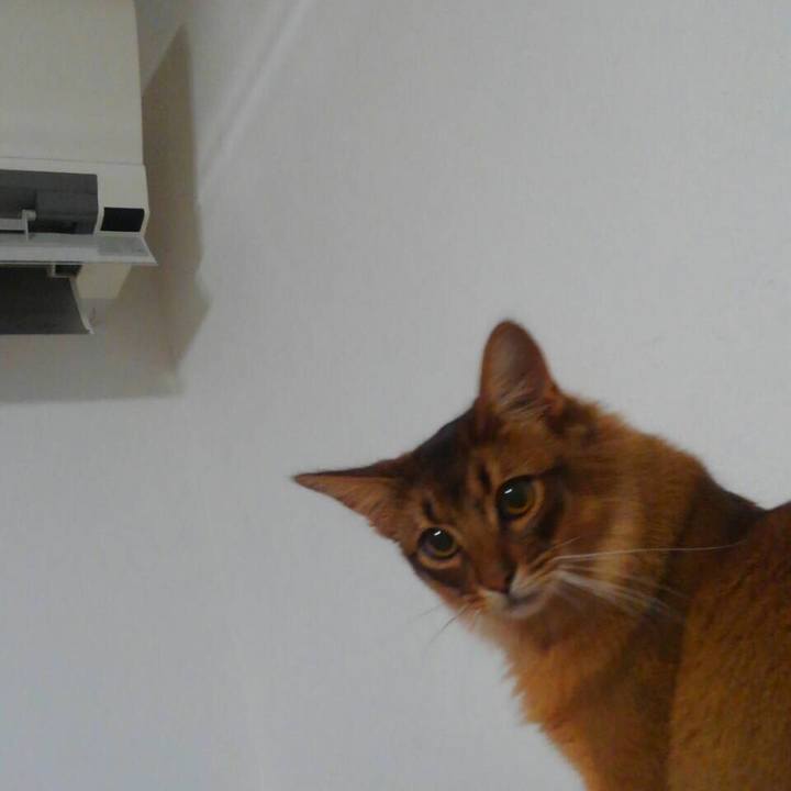 A709e85b 481b 4c8c a6de 03b88dbb270d 1591320004617