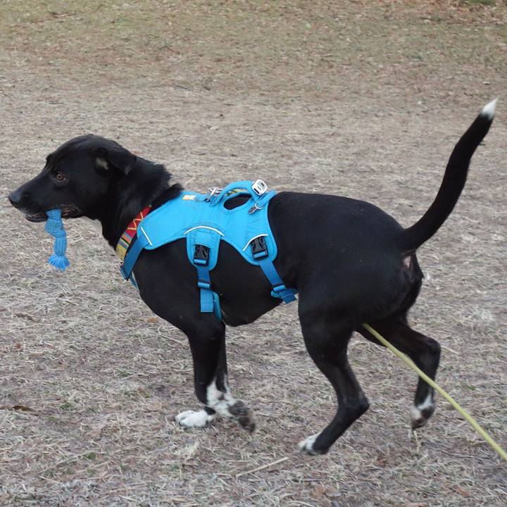 A709f28f 42ae 4ff7 a34b 31865c82945b 1613782551723