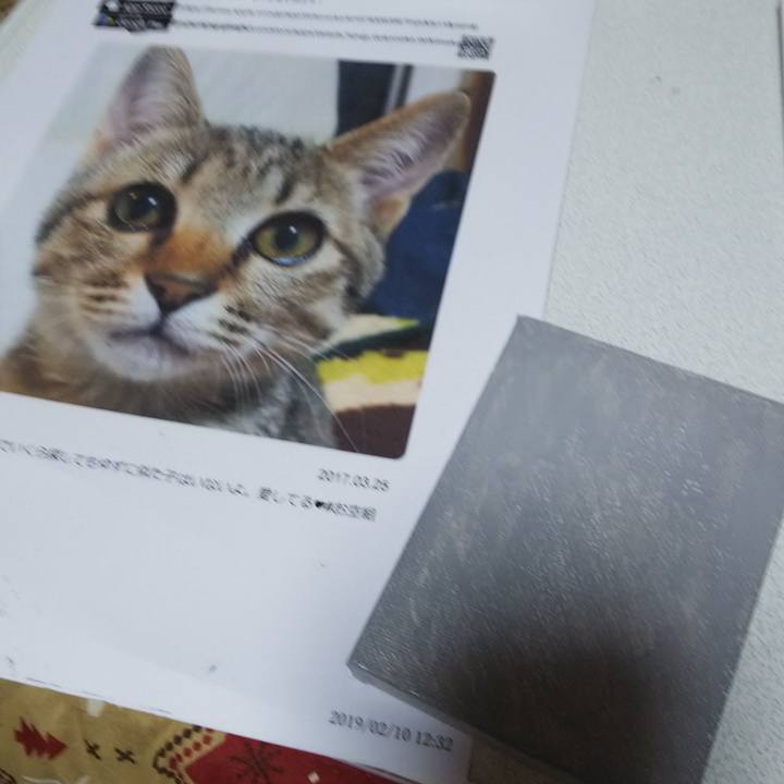 A70a0384 bd92 4116 9370 e37dcc45a1fb 1549859278203