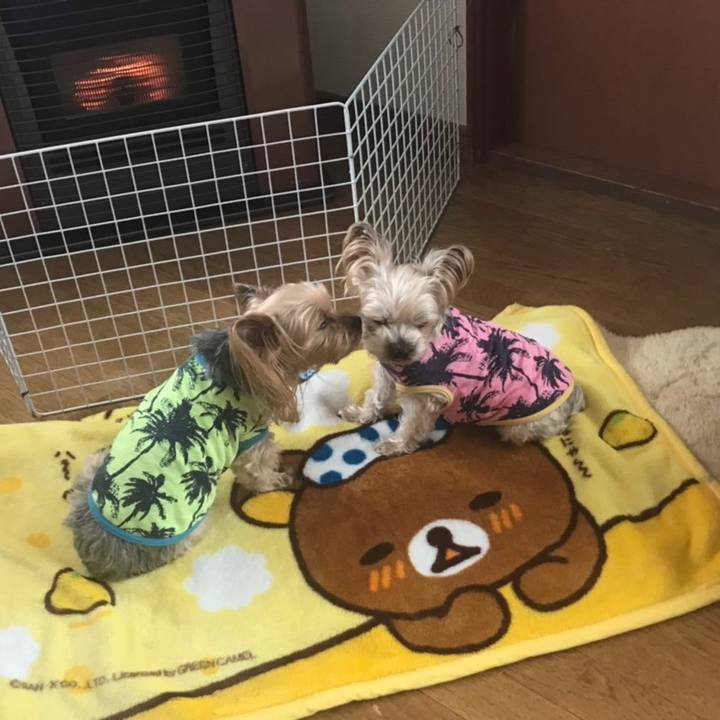 A70a0df9 7d86 442c 93b5 aa6c64b96bdf 1553313648996