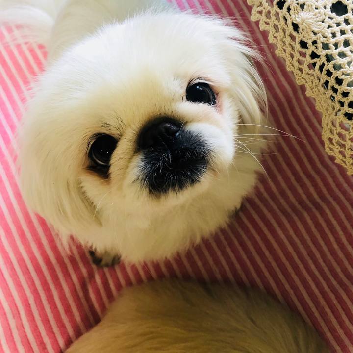 A70a1ae0 e8dc 41c6 af61 c4ea57f68c63 1588061616871