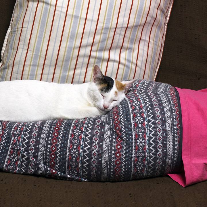 A70a9c74 fe64 4bd5 945a ce9bafba9803 1571356532549