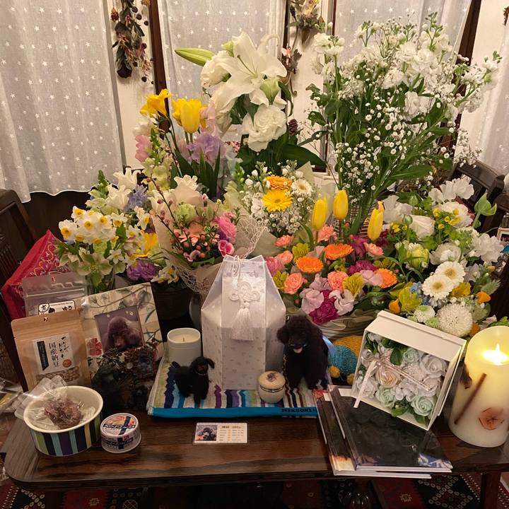 A70aa191 4465 4d97 9612 a6d35e42e020 1614260498652