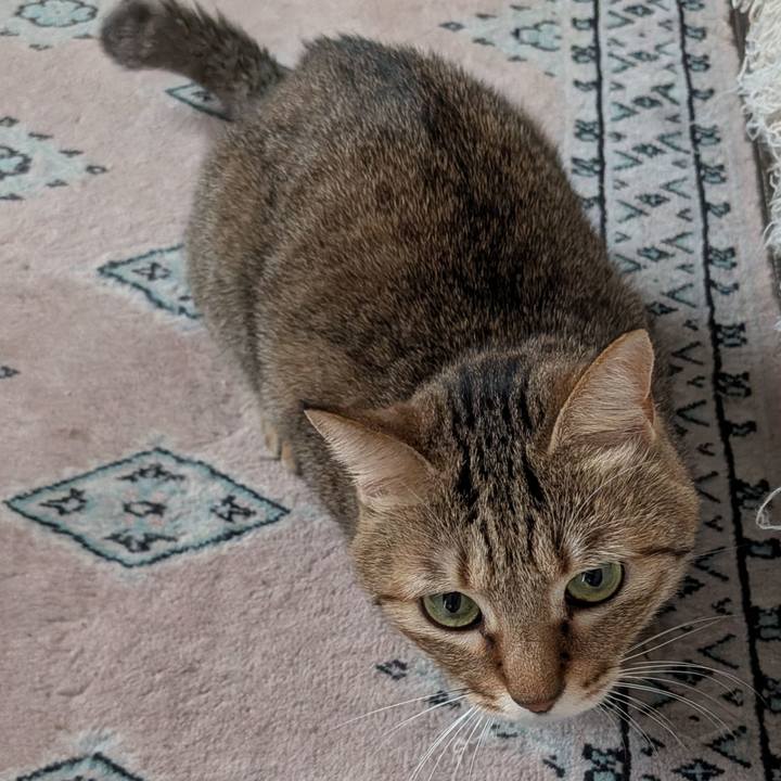 A70ad544 ac41 433c ac10 5be36090e084 1763418944221