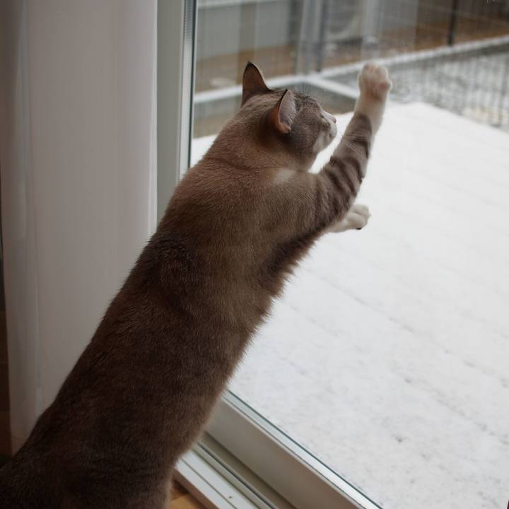 A70af0e8 59eb 4d3a a16e 4ff9b9707f26 1544327337749