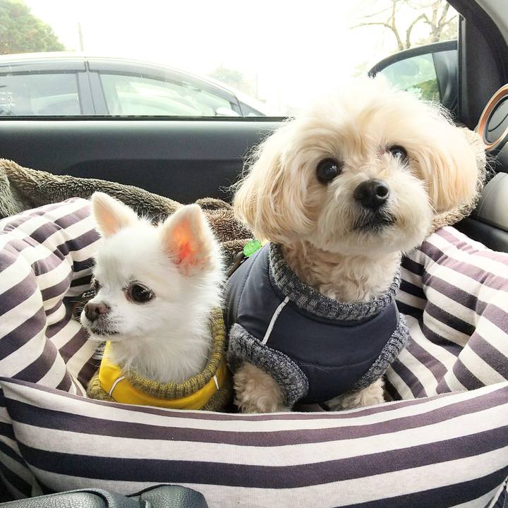 A70b02d8 2d38 4fba bfae 7d597d0a0563 1610890454097