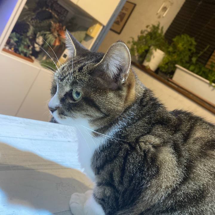 A70b0781 00b2 4162 8dd0 8372766ed14d 1735743392532