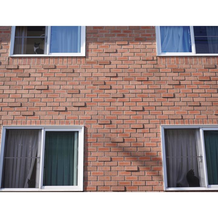 A70b874f d66f 4a5e a80c 6cb79e7f64c8 1649599839931