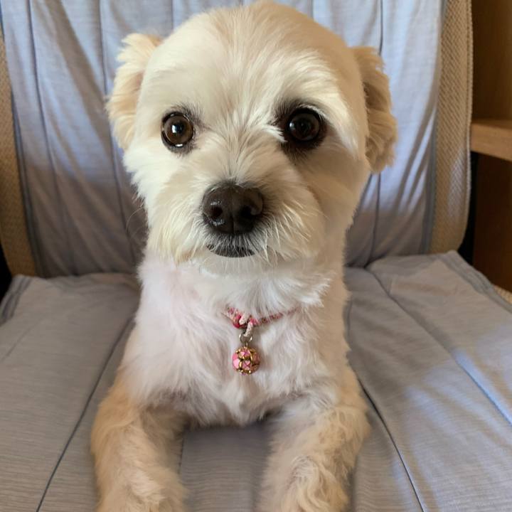 A70c8095 8d6e 4217 81e7 a763f5052d18 1600052438011