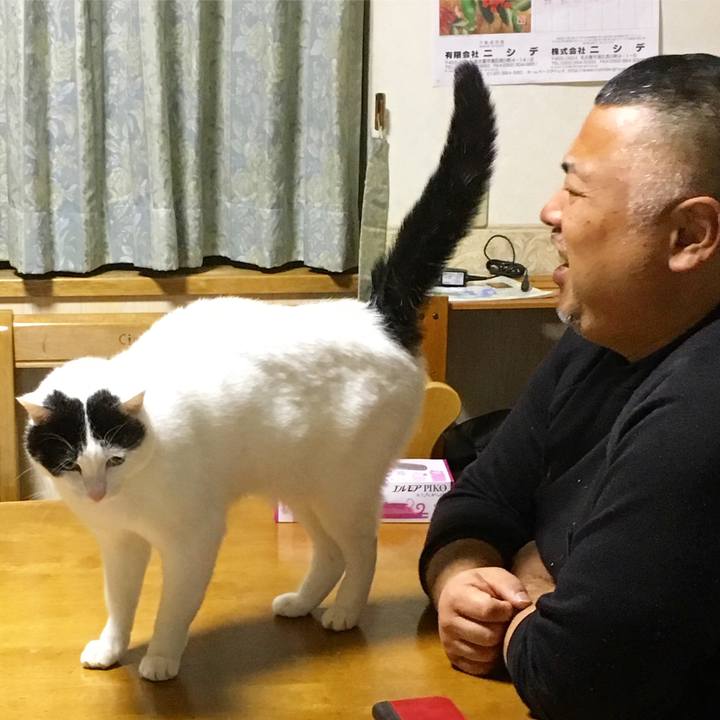 A70c848c b691 4e67 8afa c1fc599af38b 1545741690696