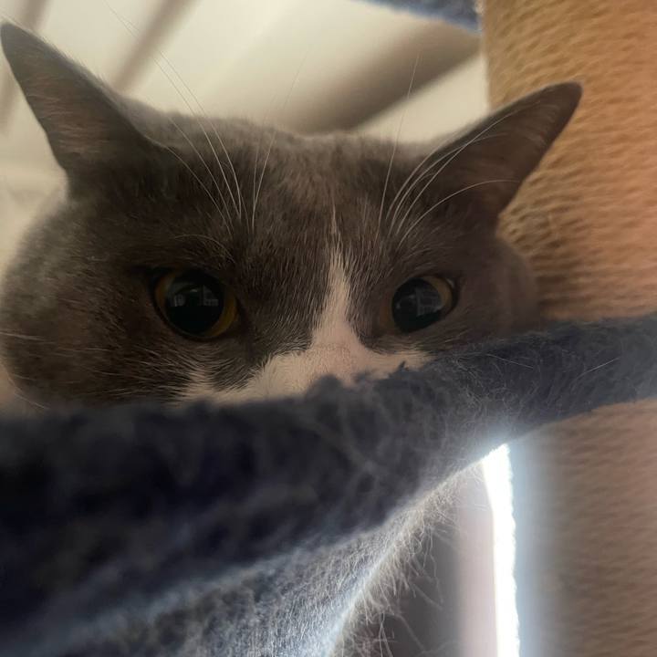 A70c8dd5 53e7 4dc8 b831 bbcb710064ac 1730163647860