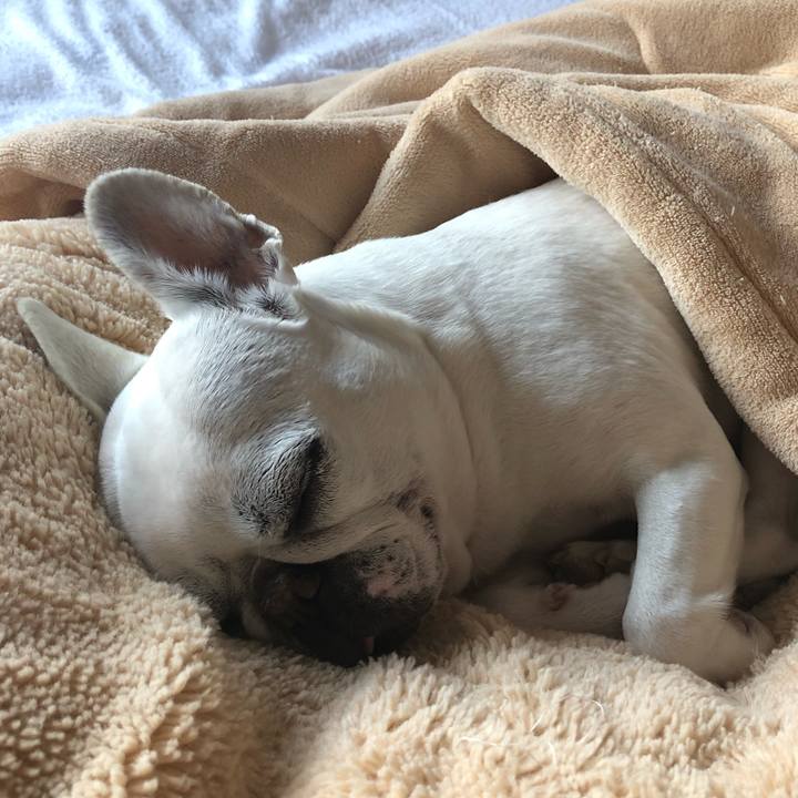 A70c9f75 de07 4d28 87c4 9cfc6a531a2b 1615893362961