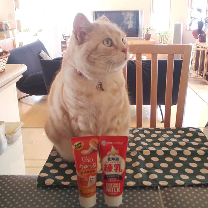 A70cbbd7 e764 4842 97ac fcec20db3cb2 1554249341068