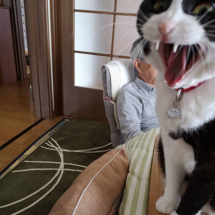 A70ce859 a32a 4a7e bcea c0c6e821e54d 1622002261071