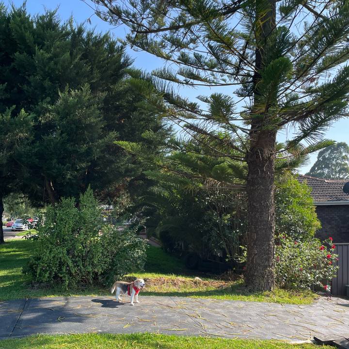 A70d0804 36fa 45f4 b4bb 991af456c8e0 1769857889105