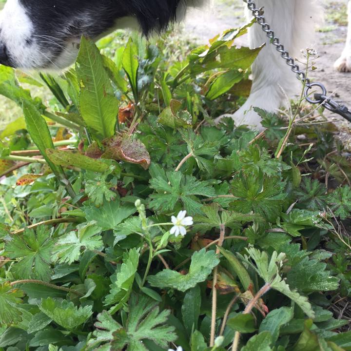 A70d20cc 7548 443a a6f9 ff34be550b6a 1584055282176