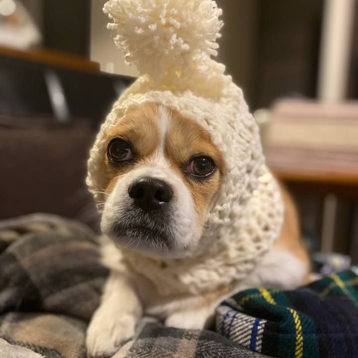 A70d3608 cd93 4671 a586 2beda13de943 1644549231622