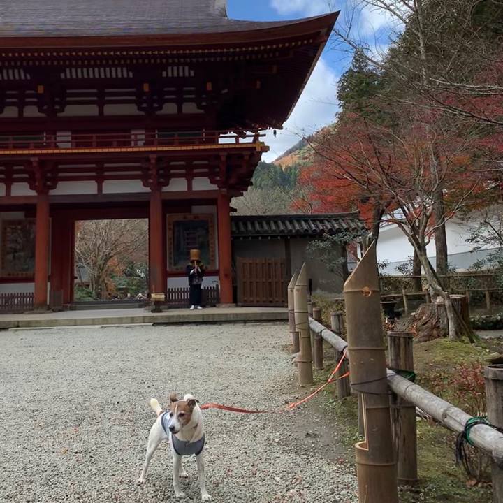 A70d5f40 63c7 4ccd aab9 c94ed4fa1d74 1575108626671