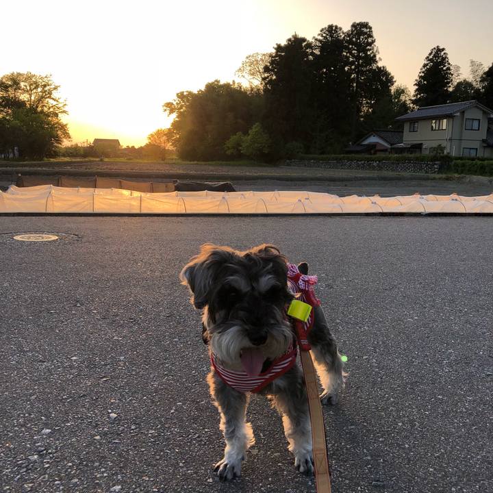 A70d6ec0 30b7 47a8 a620 ad333fbb710d 1525008916711