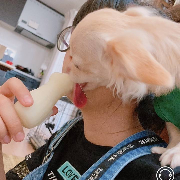 A70db030 eb56 48ce 862f 51ab04ea0ad0 1599204021901