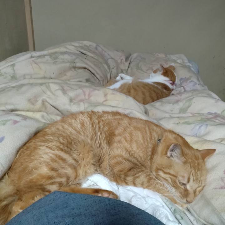 A70dc2e2 f858 4d94 ab8a 301e4b44502e 1762863063059