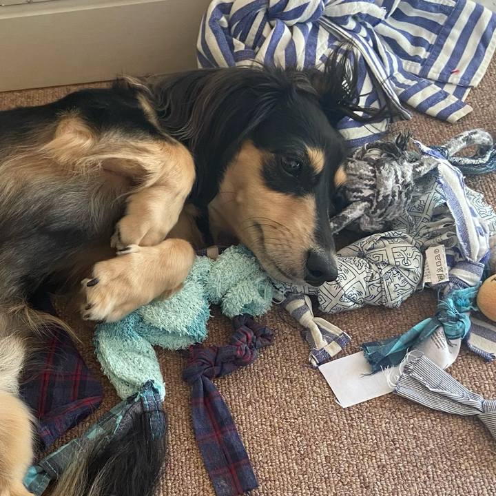 A70de4d3 67f4 4521 ab42 ae8e80932386 1699926020163