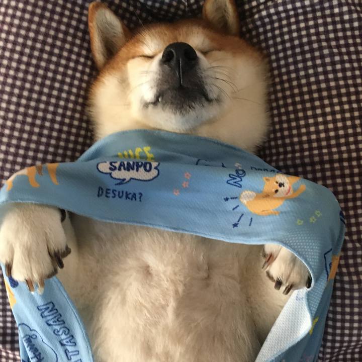 A70e39a7 0a2a 4a23 899b 9b6c92fb46bc 1596601588792