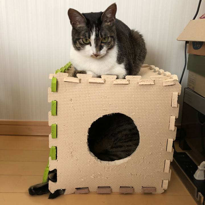 A70e72cb 98c3 42c1 8f69 e4819a8f5890 1526651003340