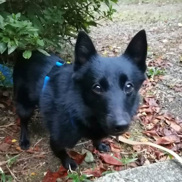 A70eb996 9f60 42ee 8929 340e0fe8a28f 1636494767900