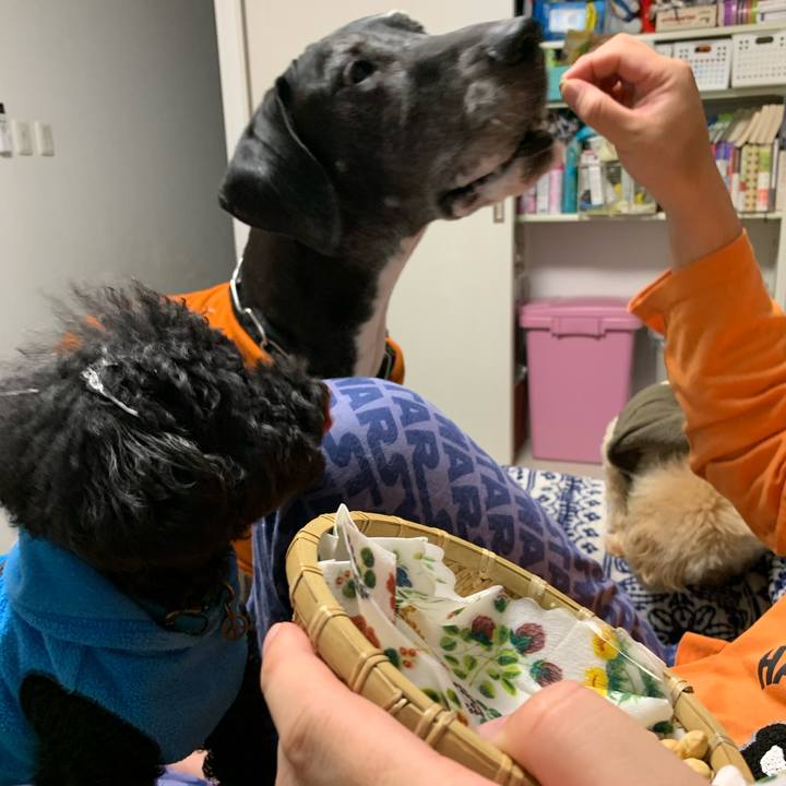 A70ed9d4 ef9a 4898 9382 9b649dfa741c 1580729451560