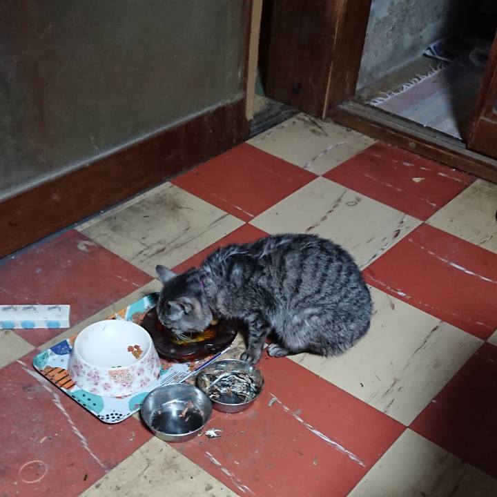 A70ede1c 0543 4166 ba68 f260117ebf43 1583267793150