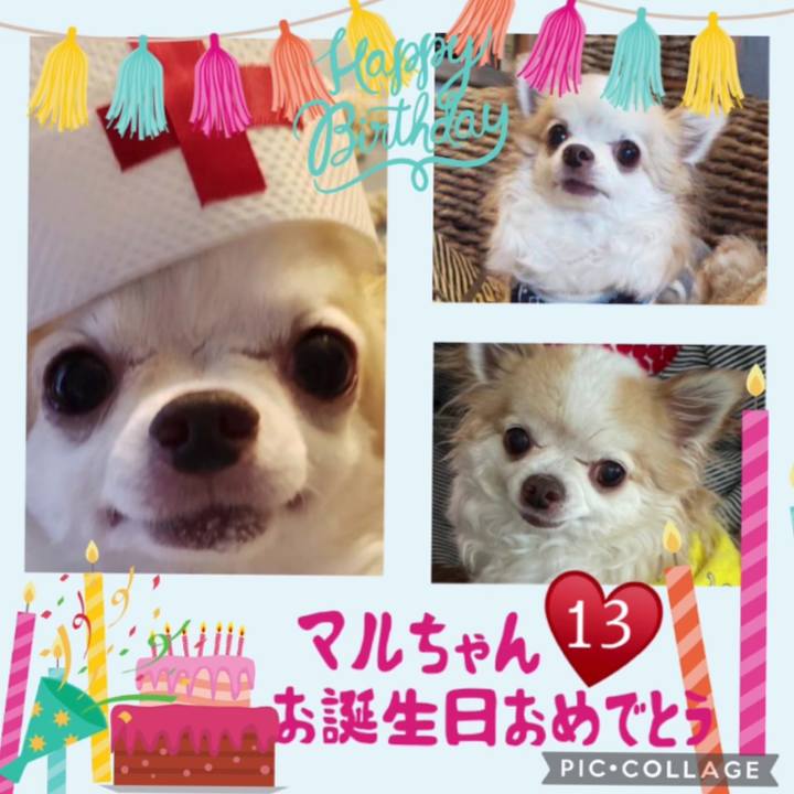 A70ef1ab b74f 46f6 83b9 bd56d2231985 1685232556644