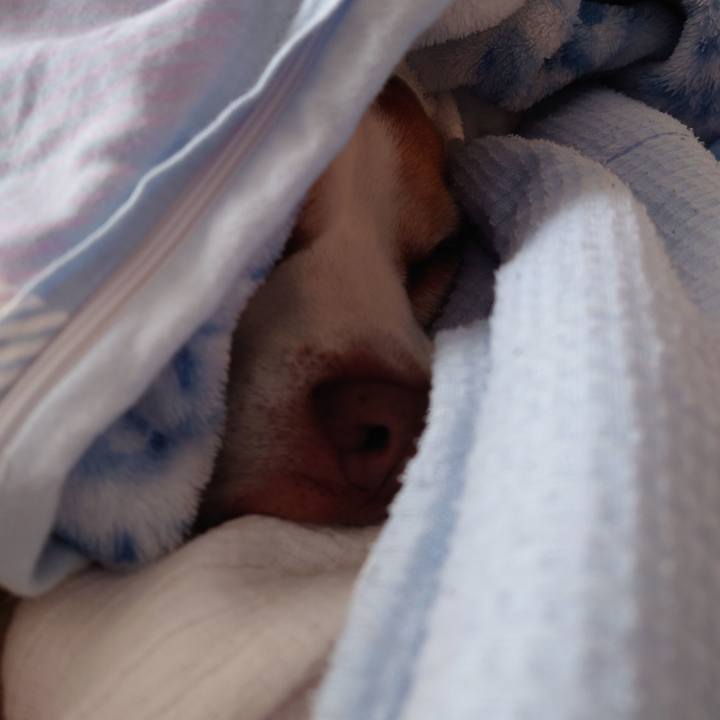 A70f1c3e f9d6 45b2 9cb5 e795bf71e048 1666657277368