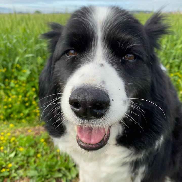 A70f1e27 8fbc 4870 860f 338c7c716a1f 1649726581824