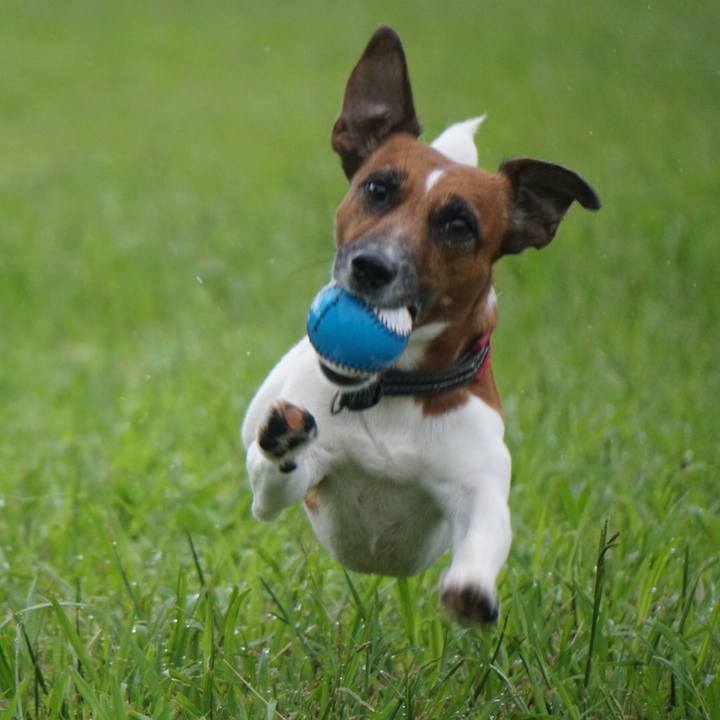 A70f28c7 401e 4d1e a455 7e4abf5b2d96 1537397592210