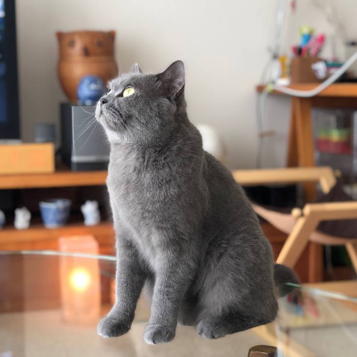 A70f7b8c cbd3 4181 b4ae a7e3de1c5e1e 1536451204795