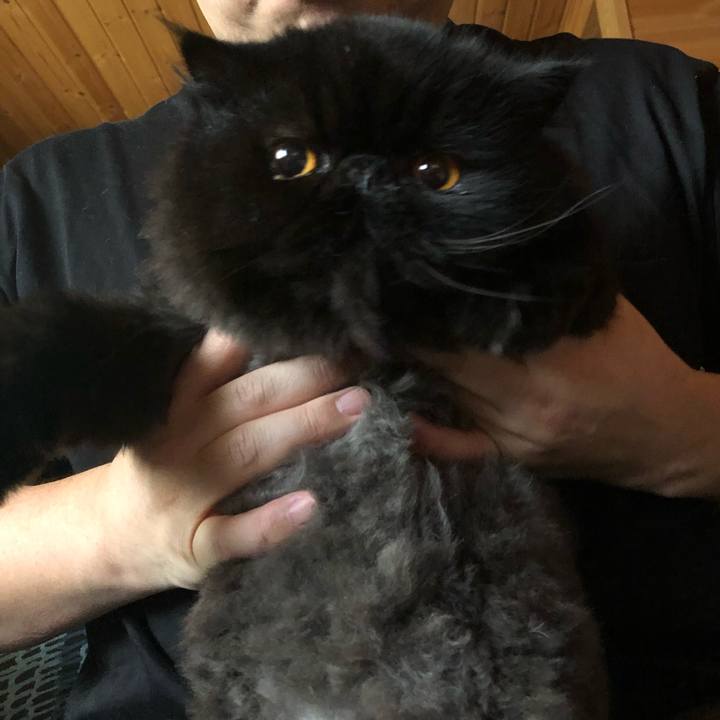 A70f891d f45d 4b8b 8cd9 380807c255ed 1627220468979