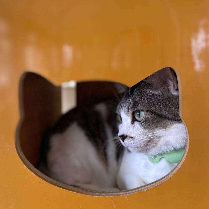 A70f8abb f1e9 4f48 8c95 5ed5d4a35f58 1749518643752